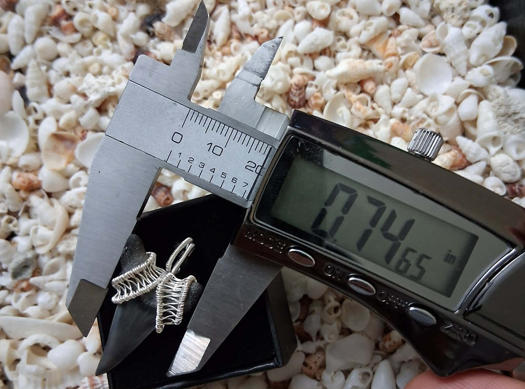 Lower Mako Shark Tooth Wire Wrapped Pendant