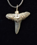 Lemon Shark Tooth Wire Wrapped Pendant