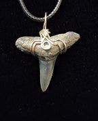 Lemon Shark Tooth Wire Wrapped Pendant