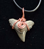 Bull Shark Wire Wrapped Pendant