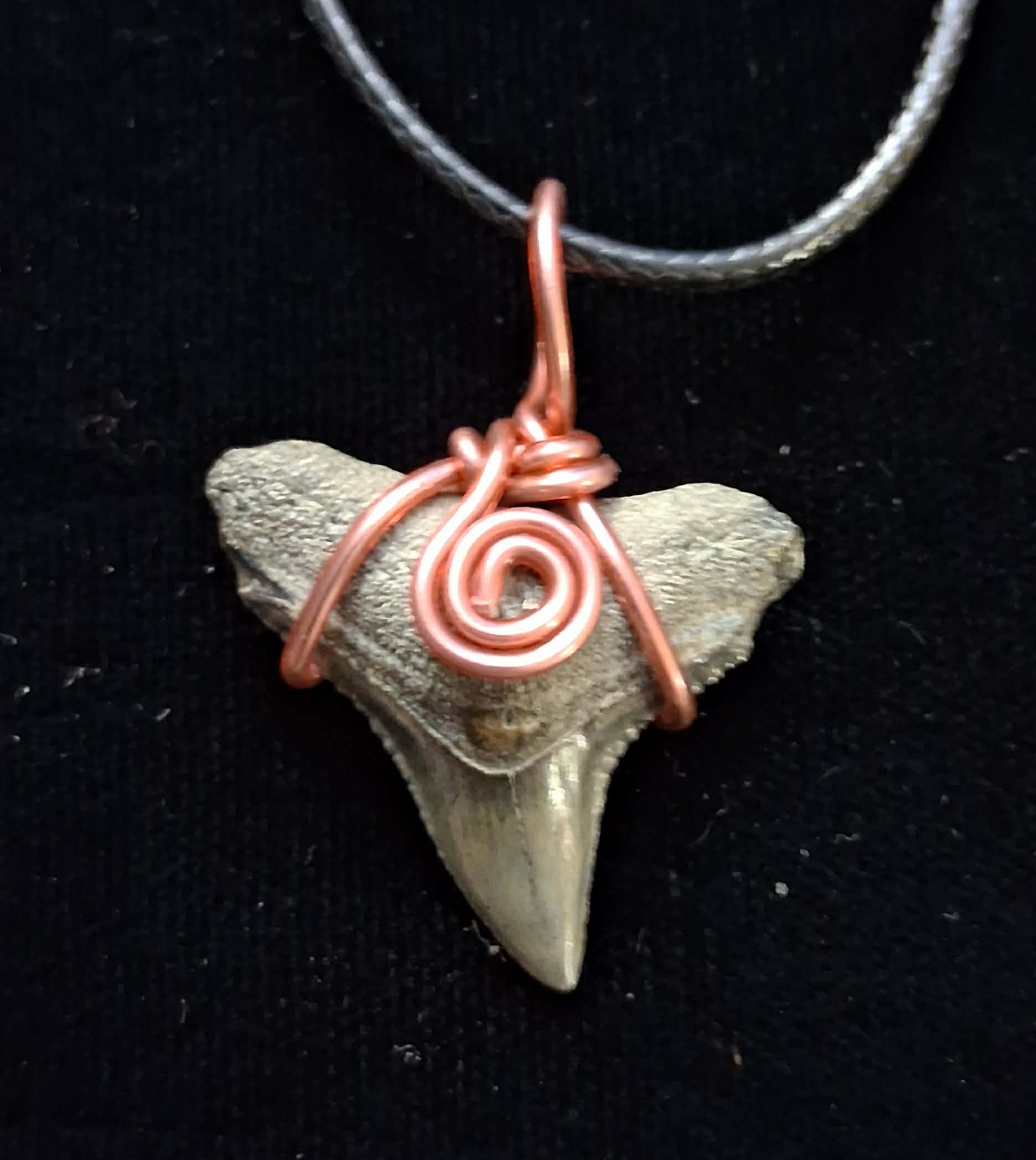 Bull Shark Wire Wrapped Pendant
