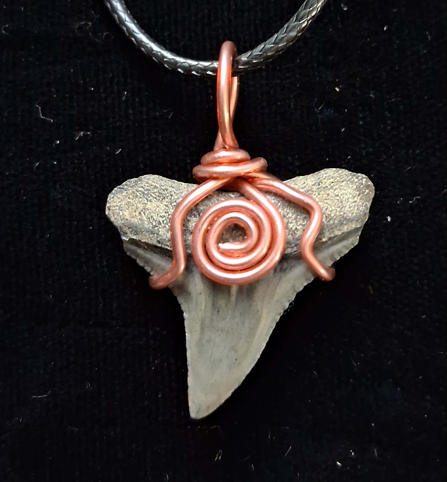 Bull Shark Wire Wrapped Pendant