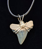Bull Shark Tooth Wire Wrapped Pendant