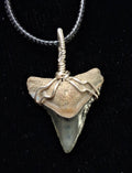 Bull Shark Wire Wrapped Pendant