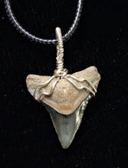 Bull Shark Wire Wrapped Pendant