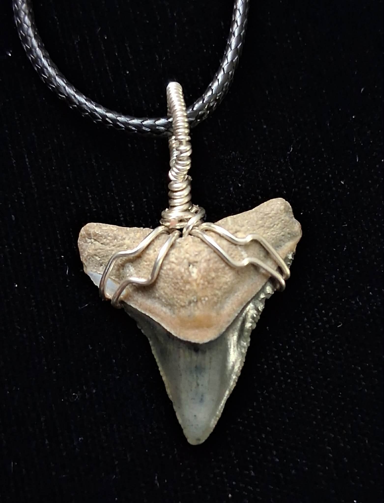 Bull Shark Wire Wrapped Pendant