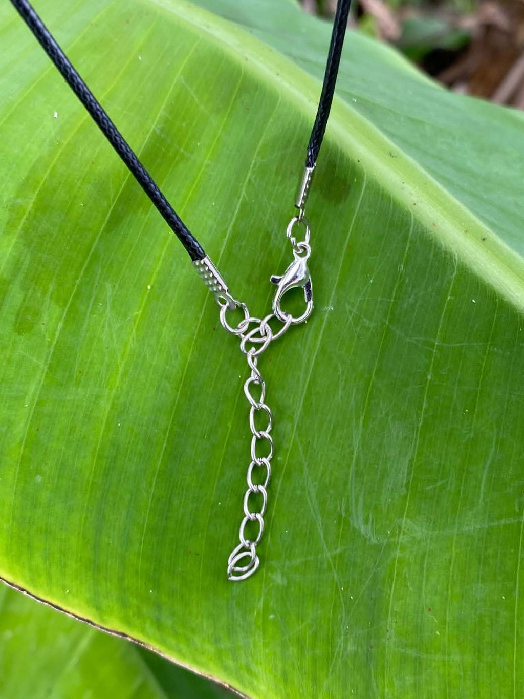 Bull Shark Tooth Pendant