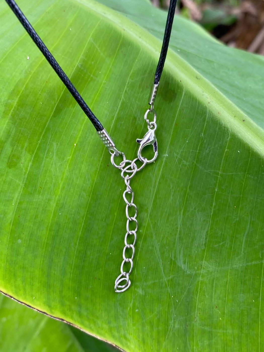 Bull Shark Tooth Pendant