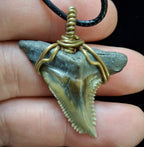Upper Hemipristis “Snaggletooth” Shark Tooth Wire Wrapped Pendant