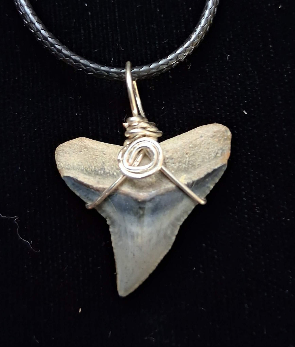 Bull Shark Wire Wrapped Pendant