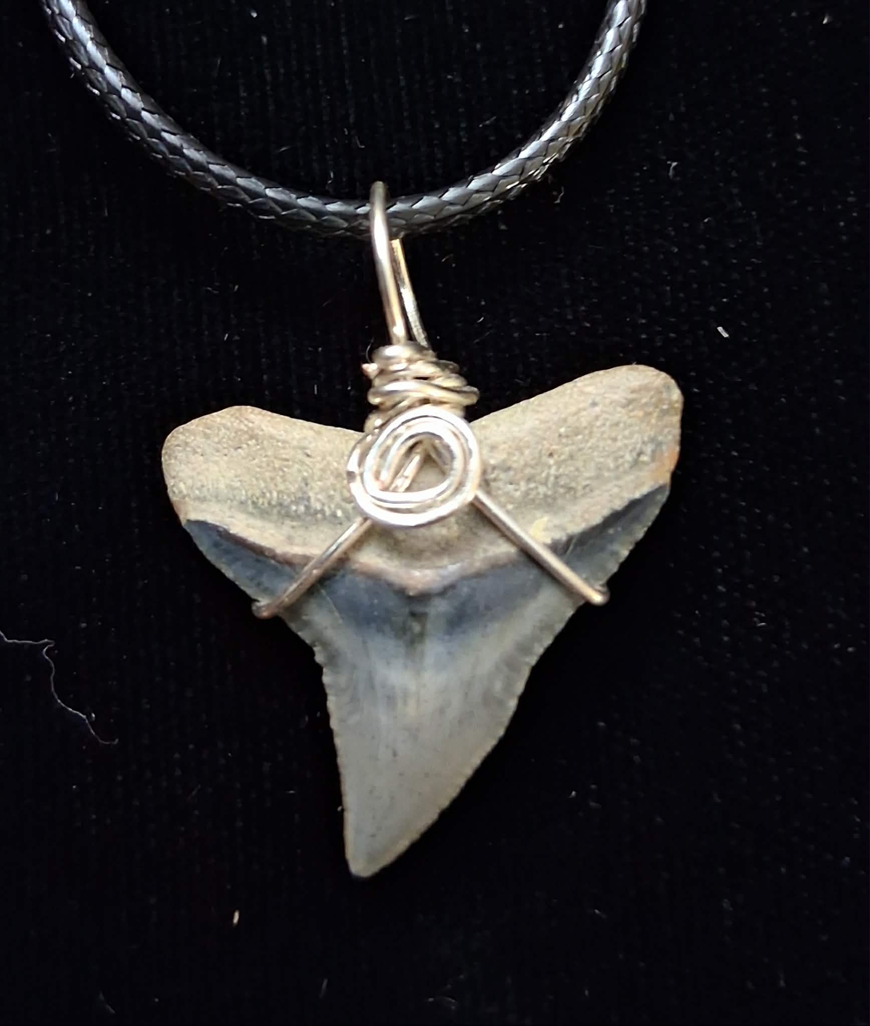 Bull Shark Wire Wrapped Pendant