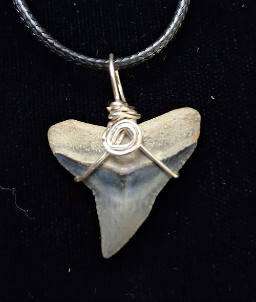 Bull Shark Wire Wrapped Pendant