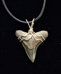 Lemon Shark Wire Wrapped Pendant