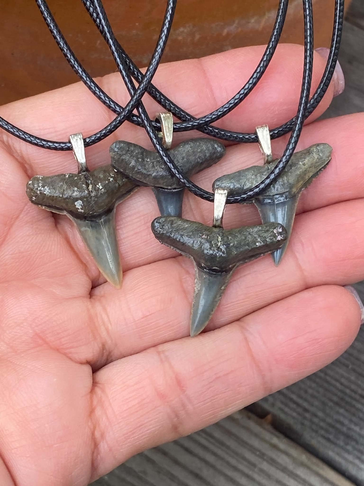 Lemon Shark Tooth Pendant