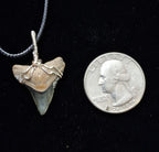 Bull Shark Wire Wrapped Pendant