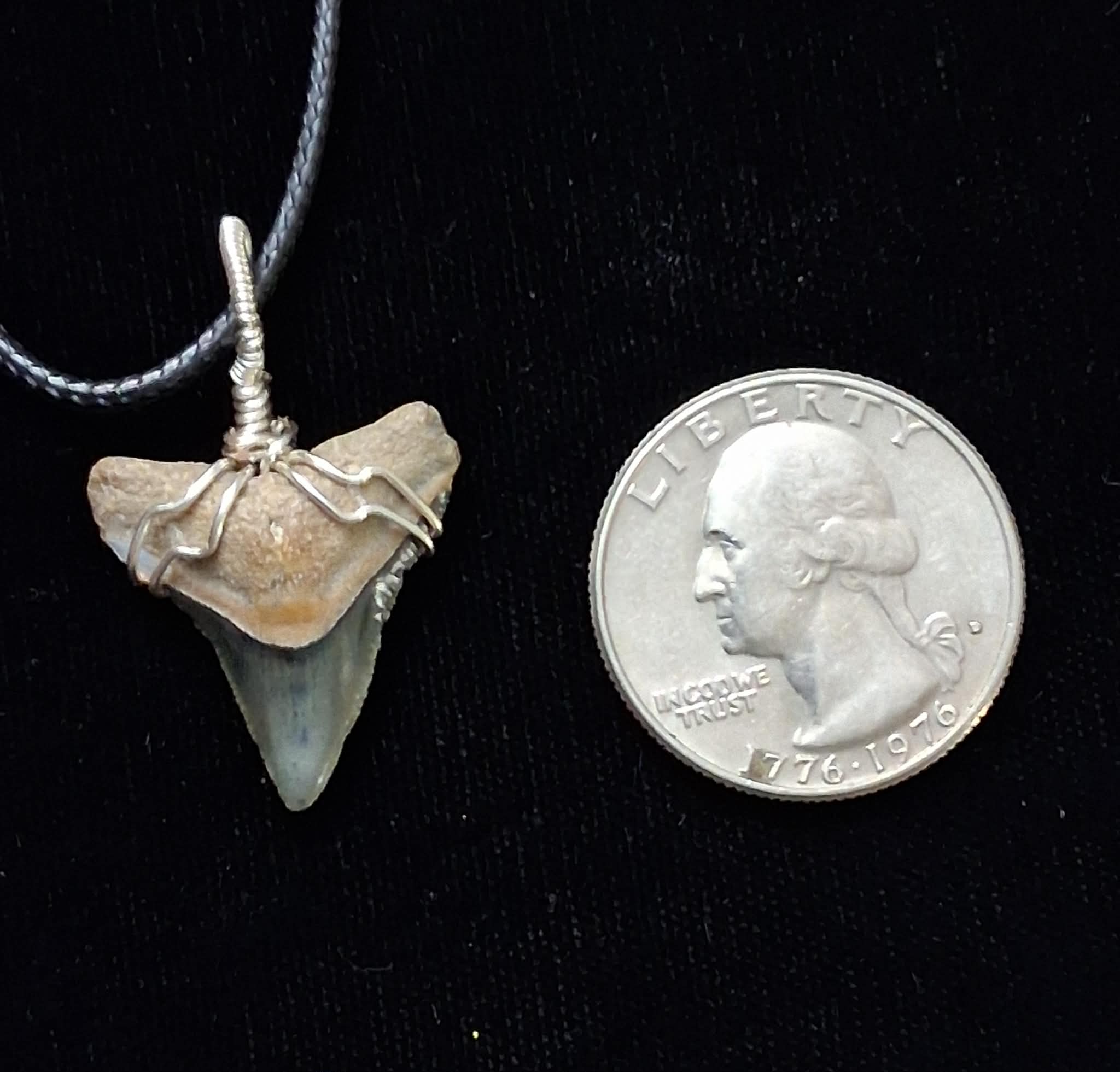 Bull Shark Wire Wrapped Pendant