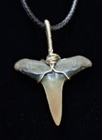 Lemon Shark Wire Wrapped Pendant