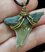 Upper Hemipristis “Snaggletooth” Shark Tooth Wire Wrapped Pendant