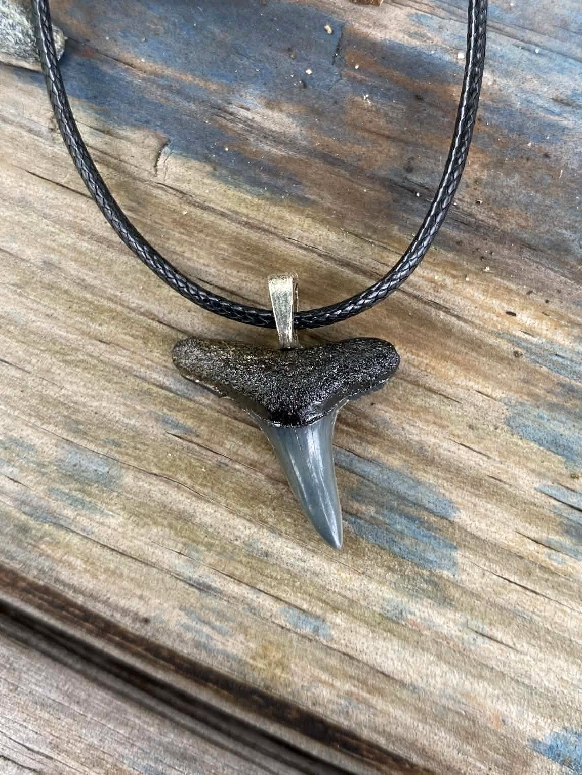 Lemon Shark Tooth Pendant