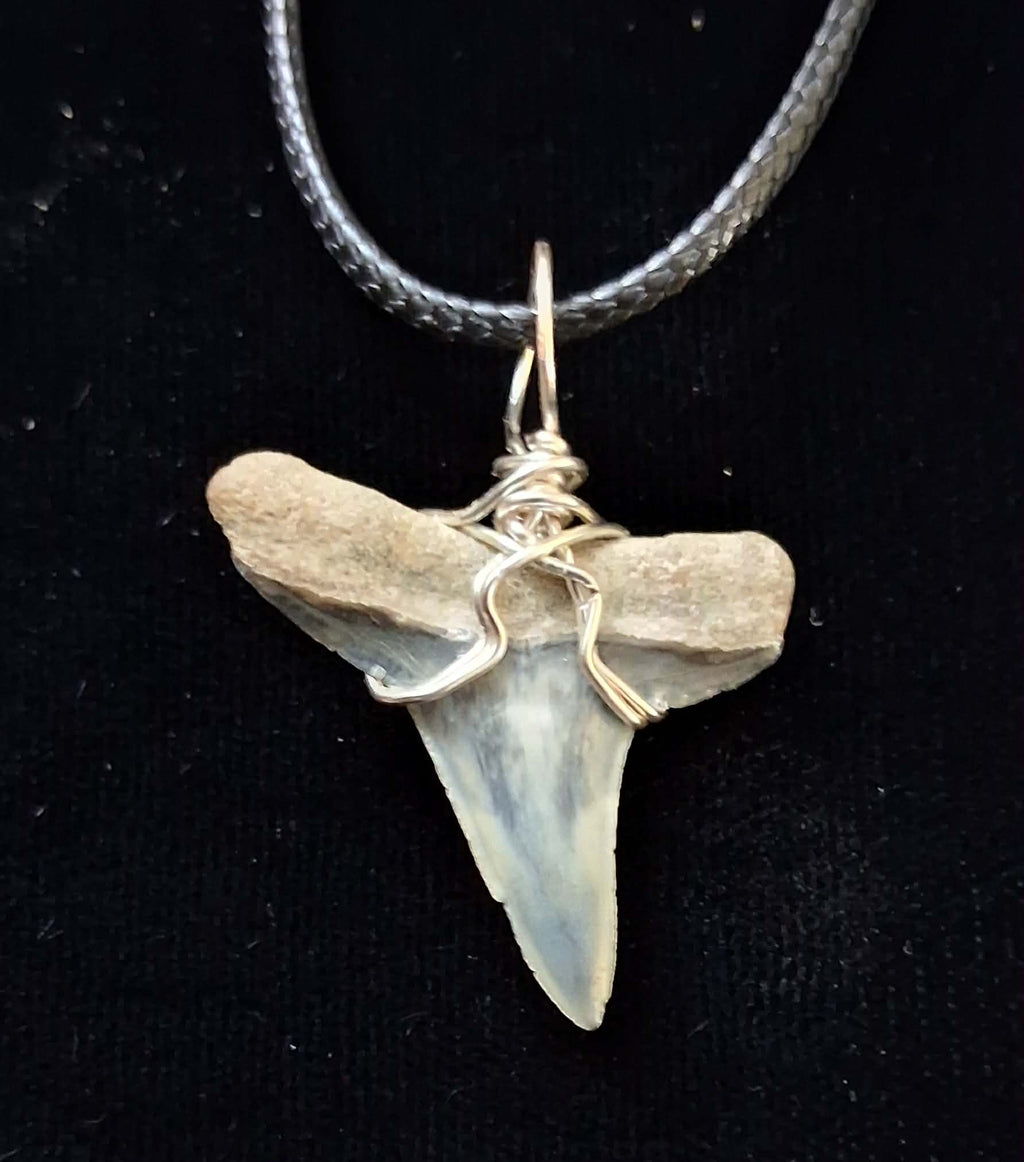Lemon Shark Tooth Wire Wrapped Pendant