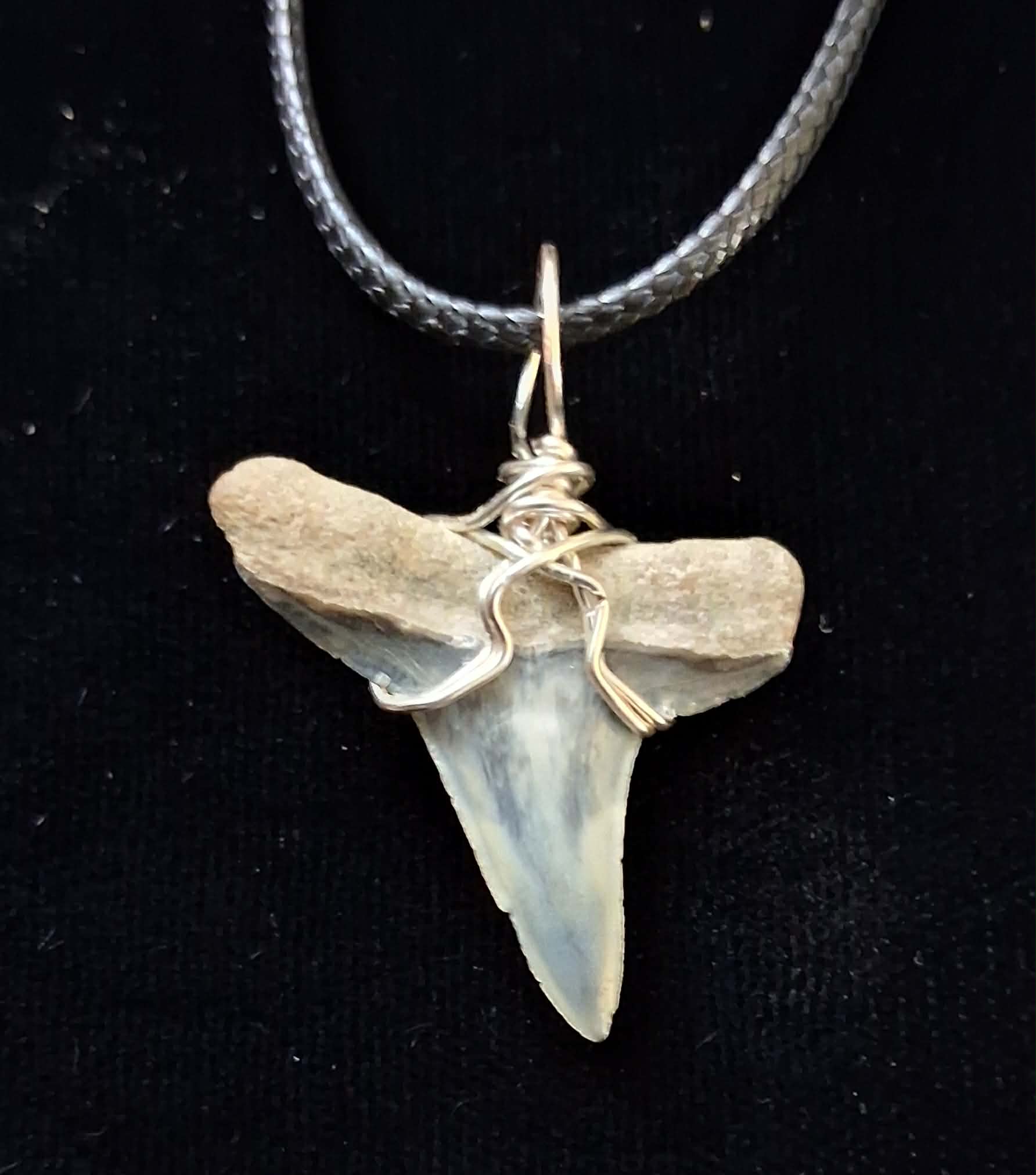 Lemon Shark Tooth Wire Wrapped Pendant