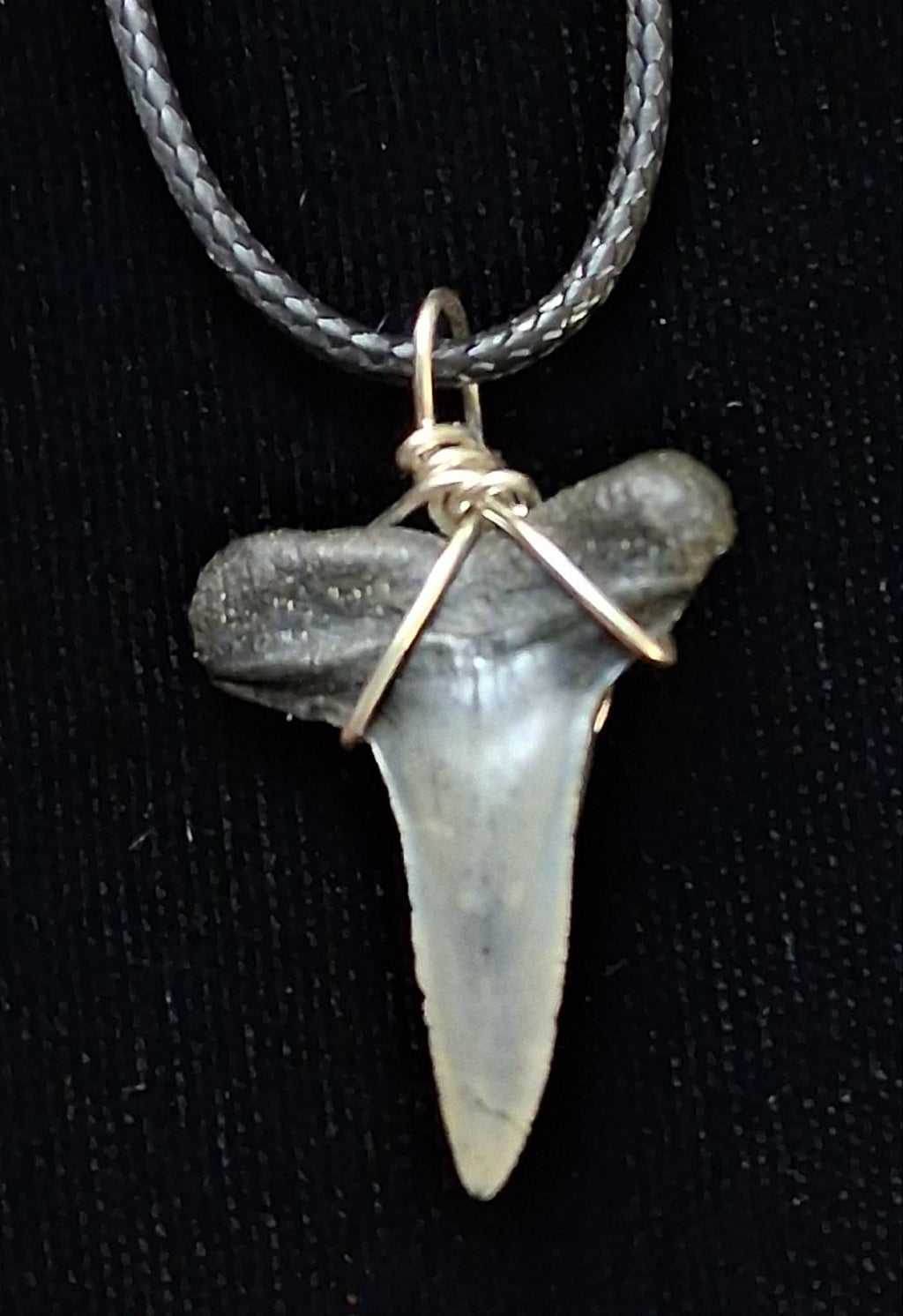 Lemon Shark Wire Wrapped Pendant