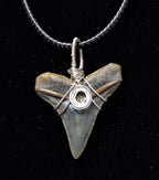 Bull Shark Wire Wrapped Pendant