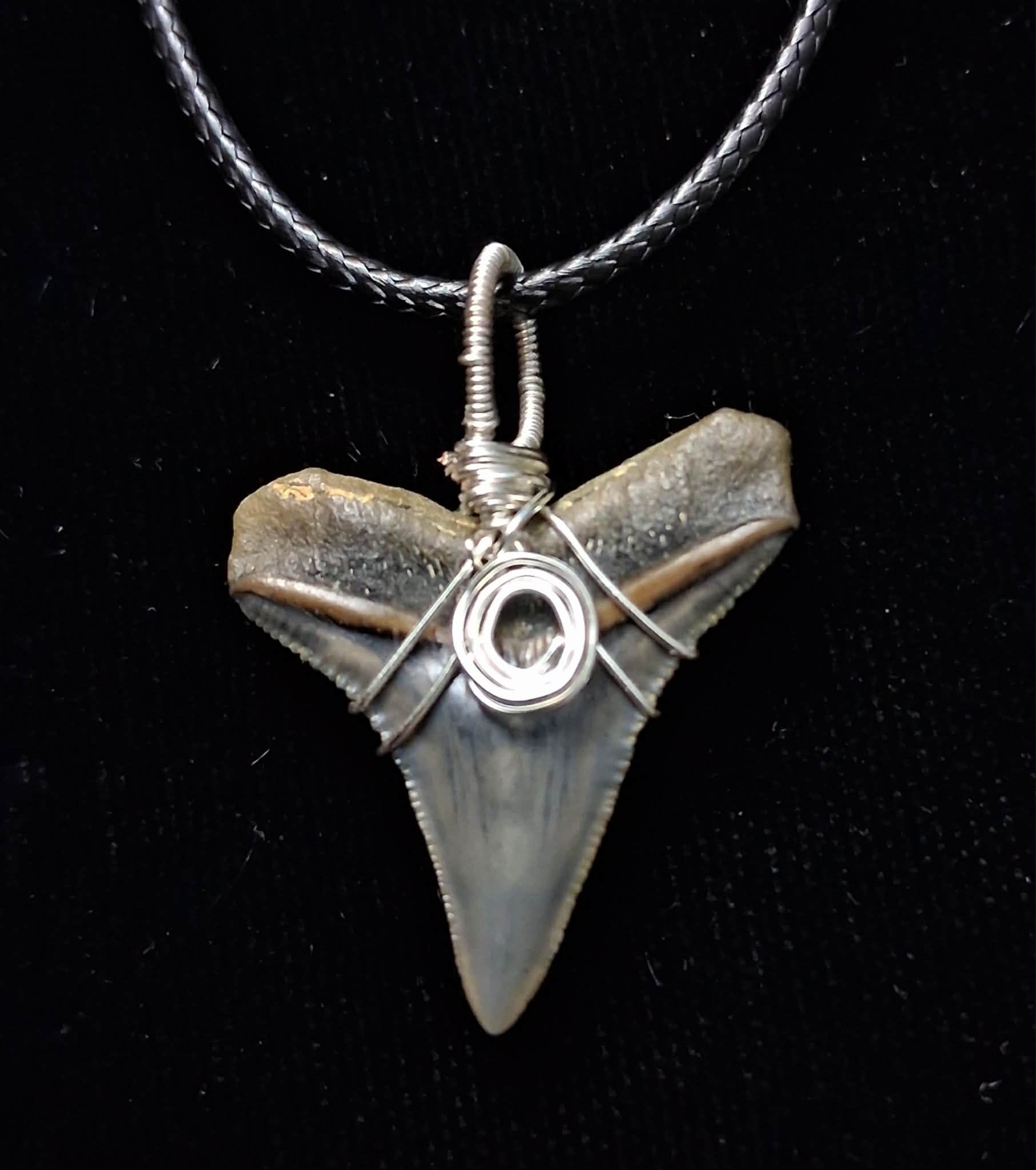 Bull Shark Wire Wrapped Pendant