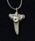 Lemon Shark Wire Wrapped Pendant
