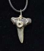 Lemon Shark Wire Wrapped Pendant