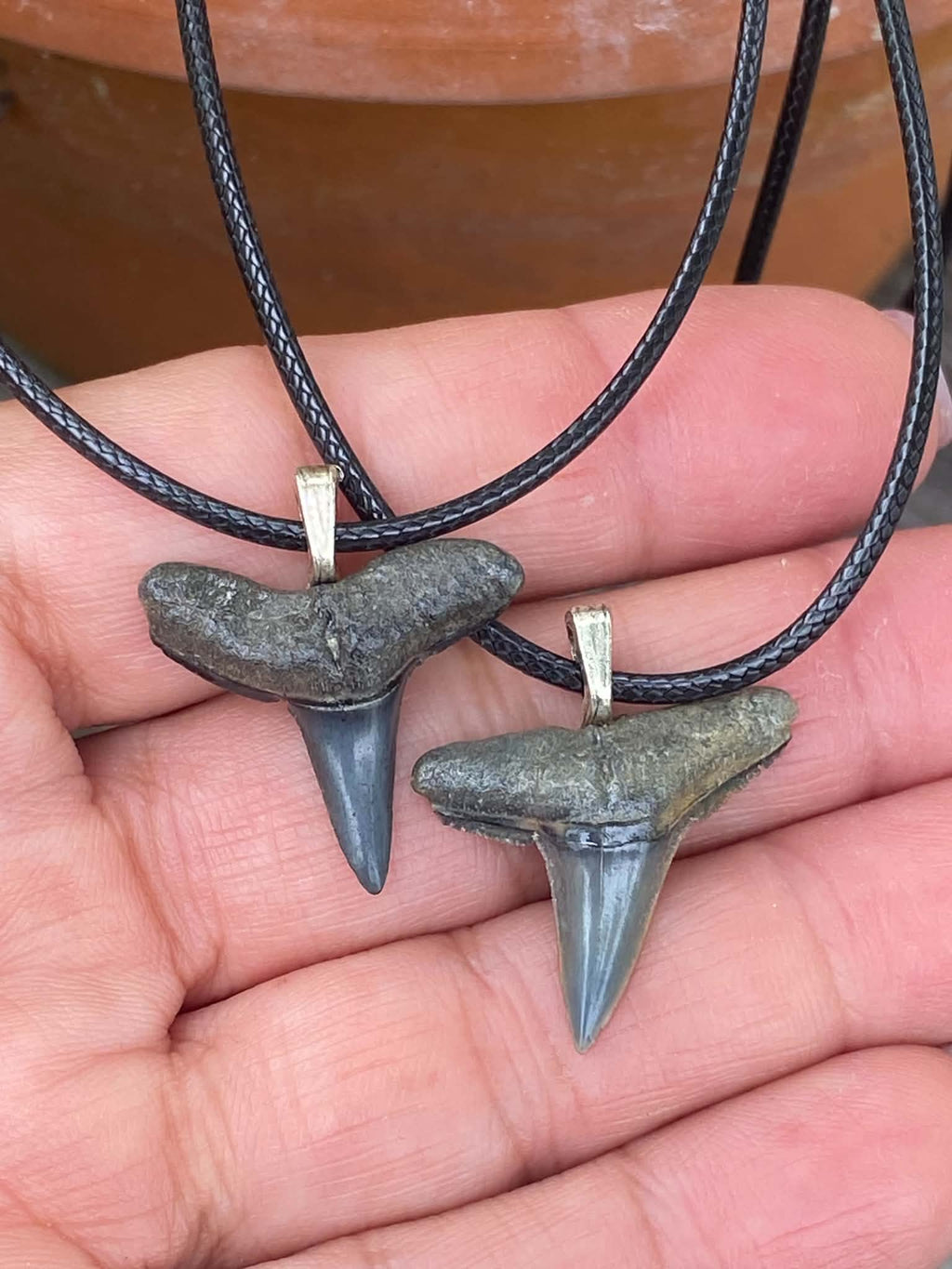 Lemon Shark Tooth Pendant