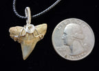 Bull Shark Tooth Wire Wrapped Pendant