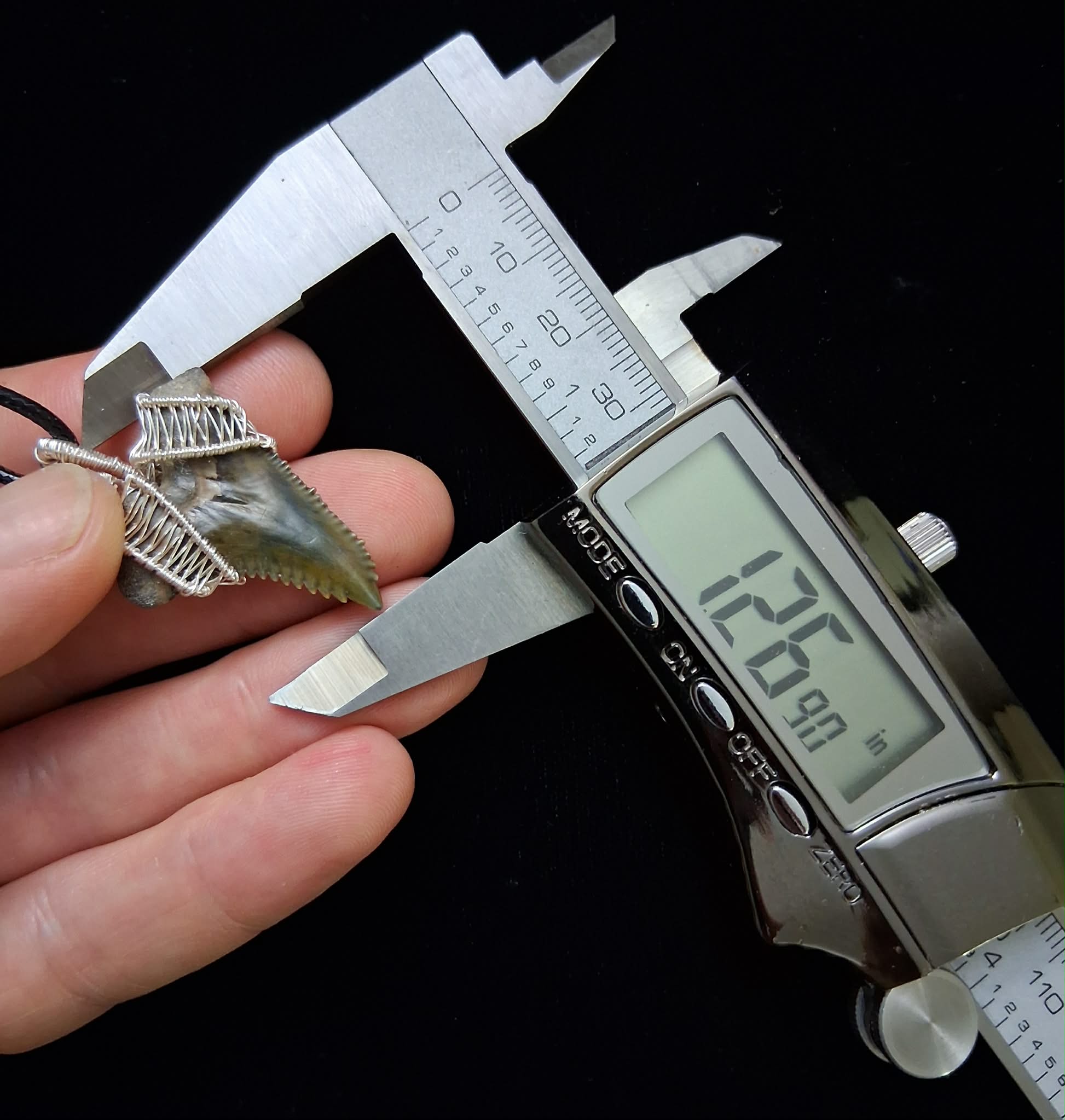 Upper Hemipristis “Snaggletooth” Shark Tooth Wire Wrapped Pendant