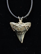 Bull Shark Wire Wrapped Pendant