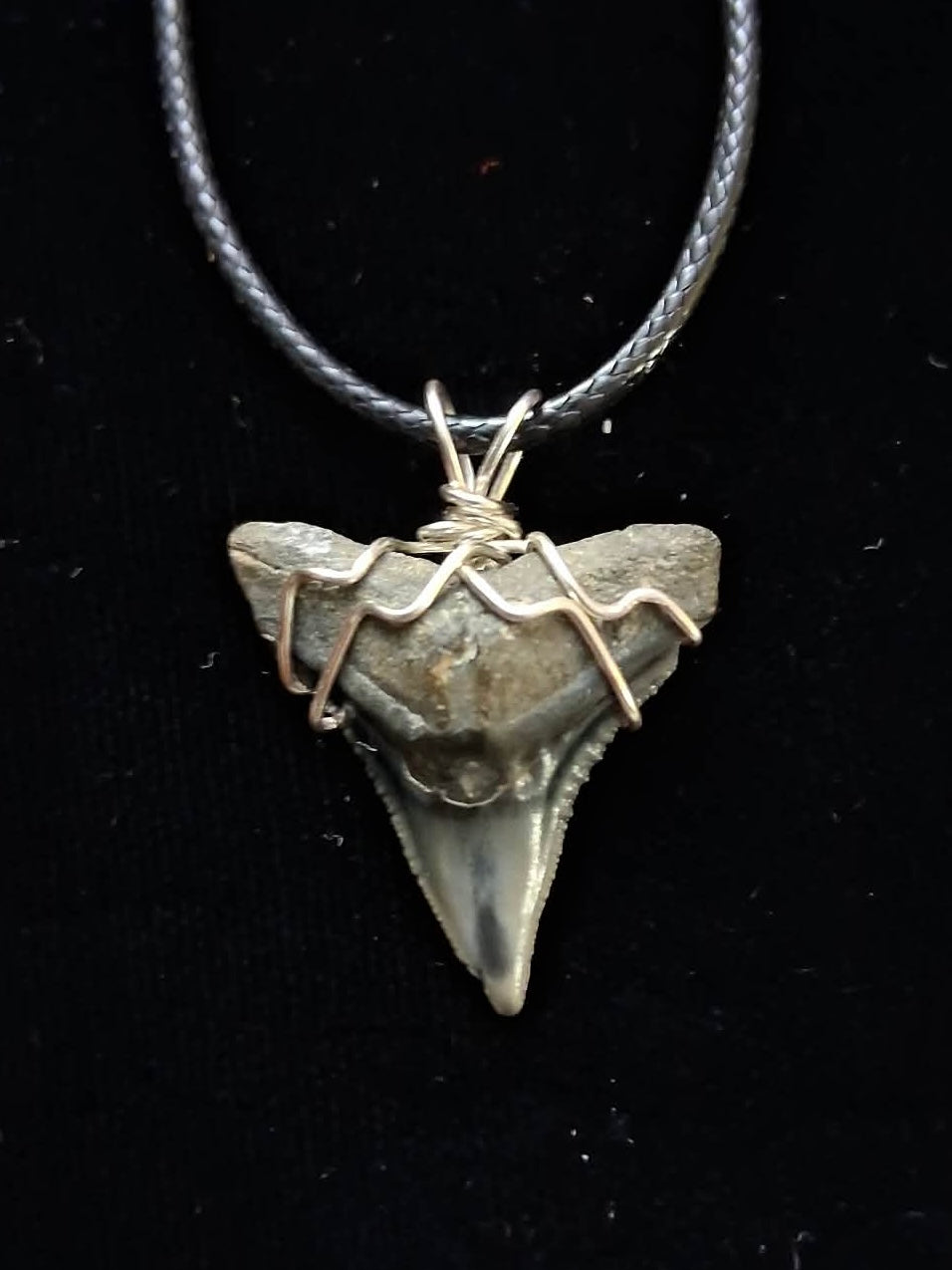Bull Shark Wire Wrapped Pendant