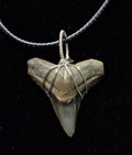 Bull Shark Wire Wrapped Pendant