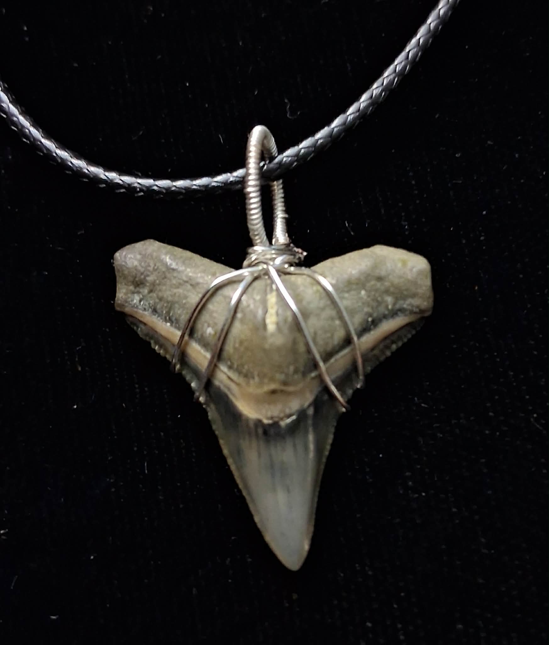 Bull Shark Wire Wrapped Pendant