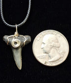 Lemon Shark Wire Wrapped Pendant