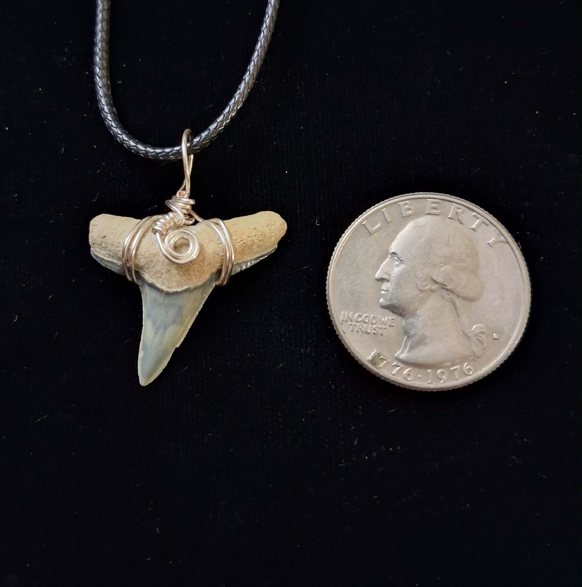 Lemon Shark Tooth Wire Wrapped Pendant