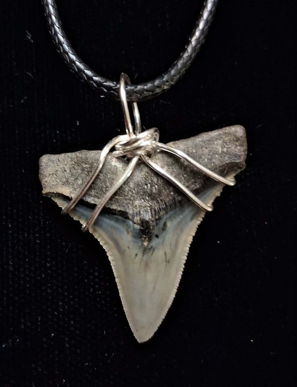 Bull Shark Wire Wrapped Pendant