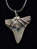 Bull Shark Wire Wrapped Pendant