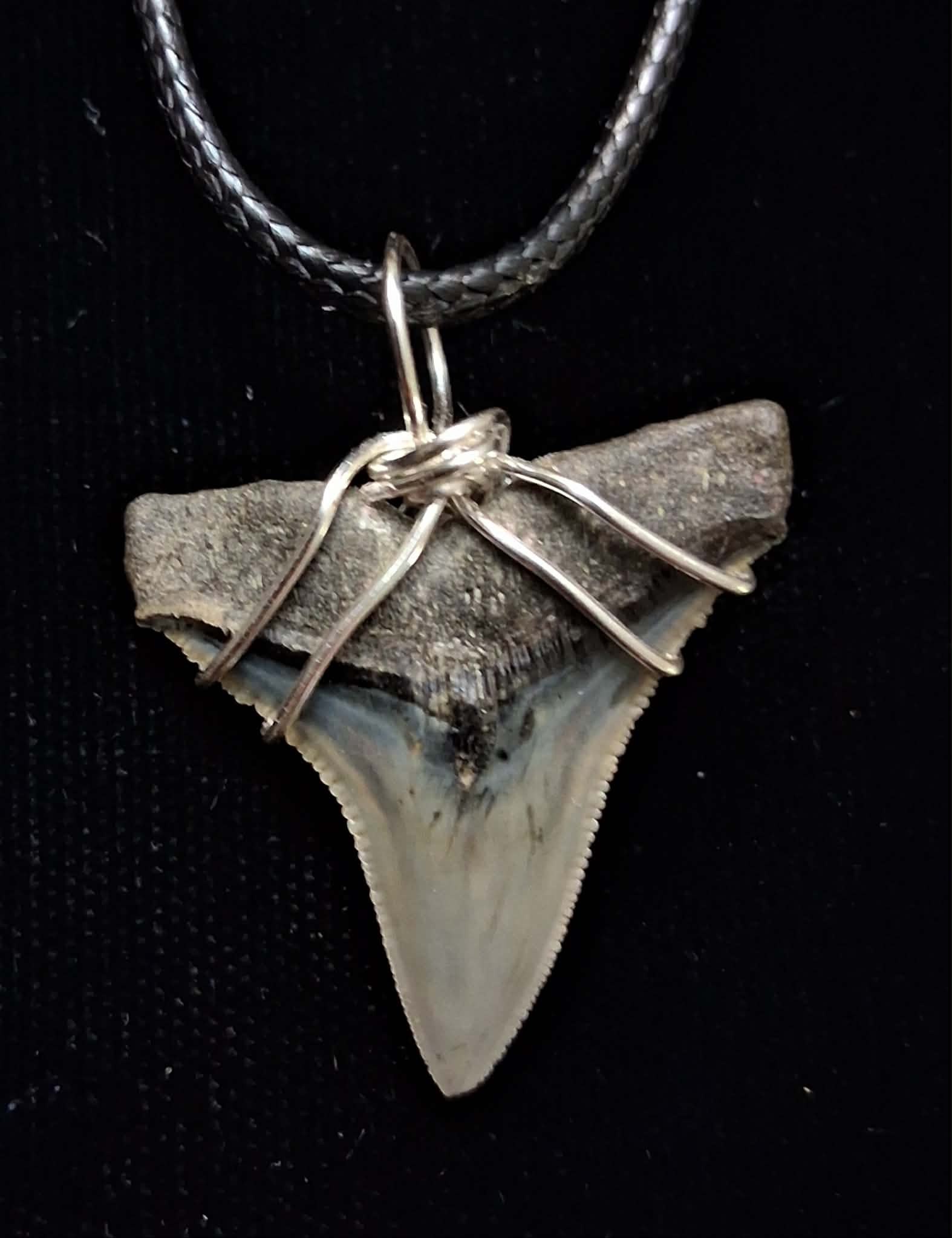 Bull Shark Wire Wrapped Pendant