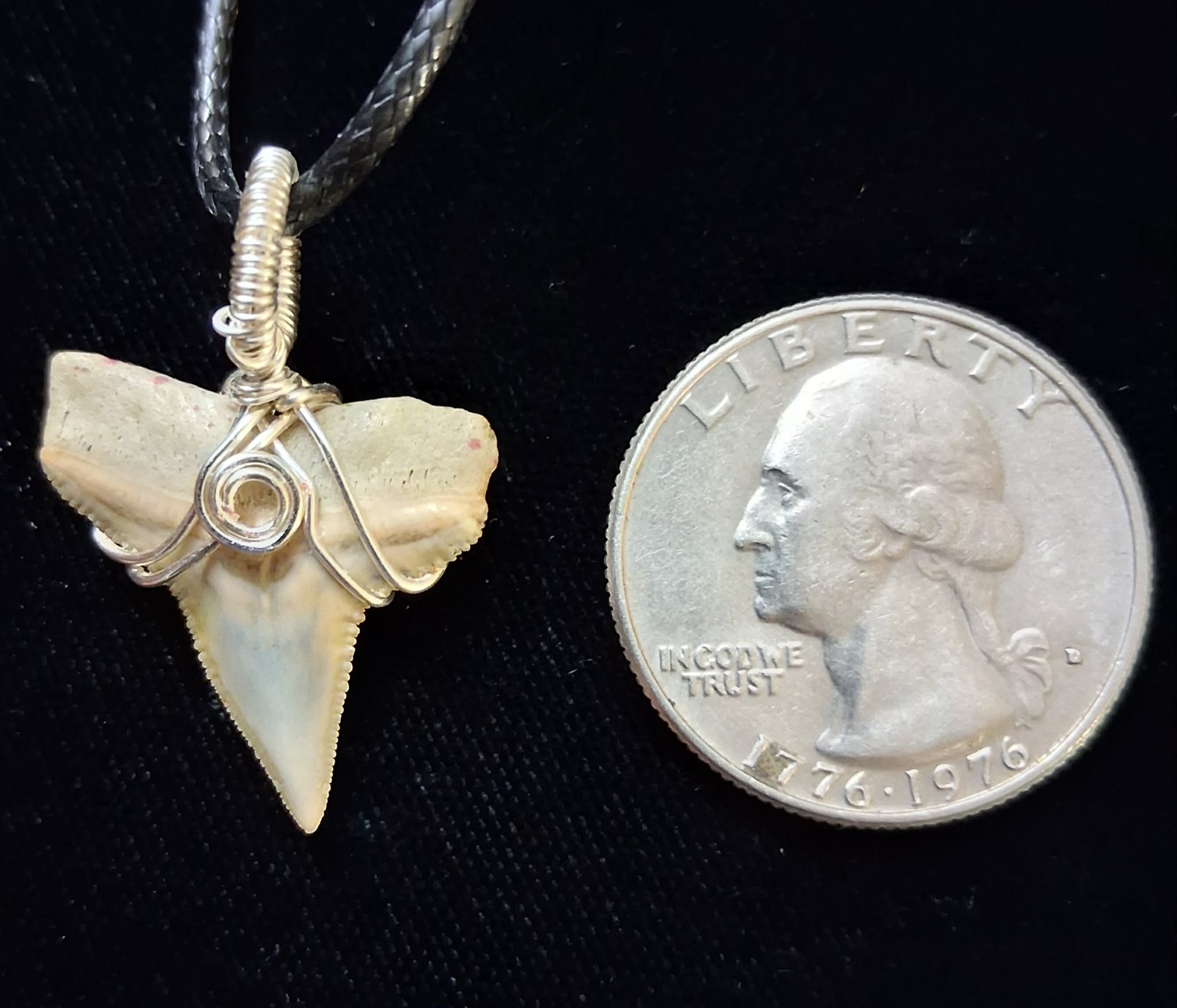 Bull Shark Tooth Wire Wrapped Pendant