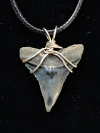 Bull Shark Wire Wrapped Pendant
