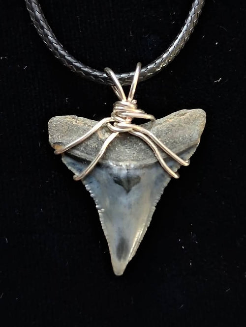Bull Shark Wire Wrapped Pendant