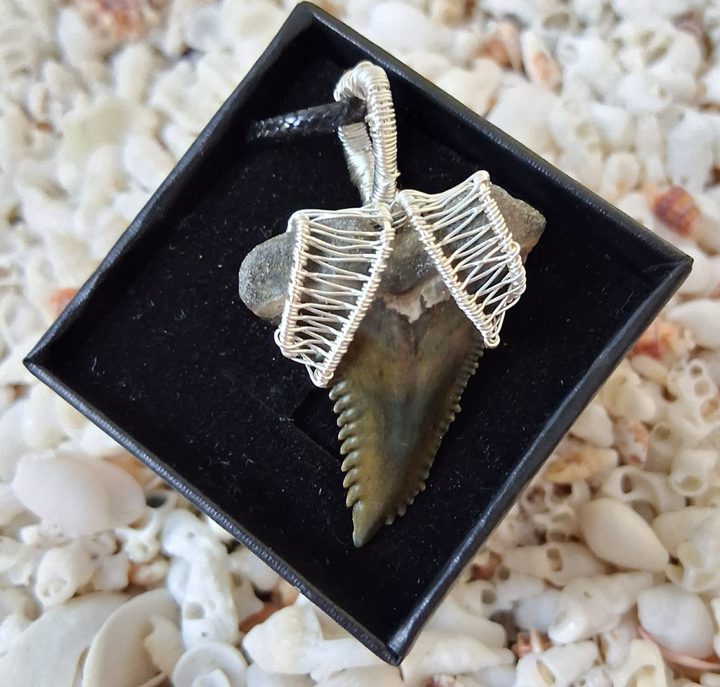 Upper Hemipristis “Snaggletooth” Shark Tooth Wire Wrapped Pendant
