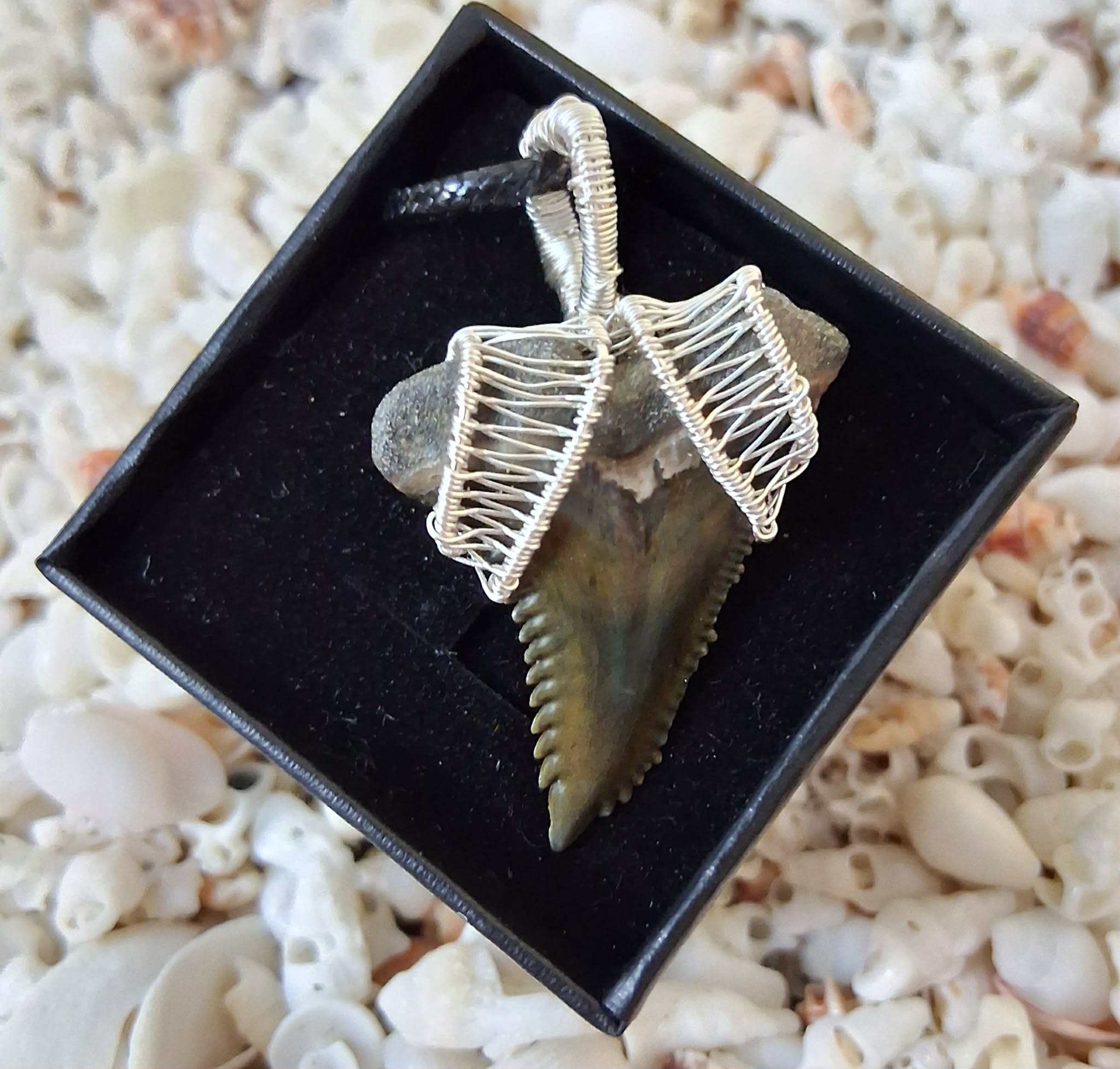 Upper Hemipristis “Snaggletooth” Shark Tooth Wire Wrapped Pendant
