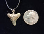 Lemon Shark Wire Wrapped Pendant