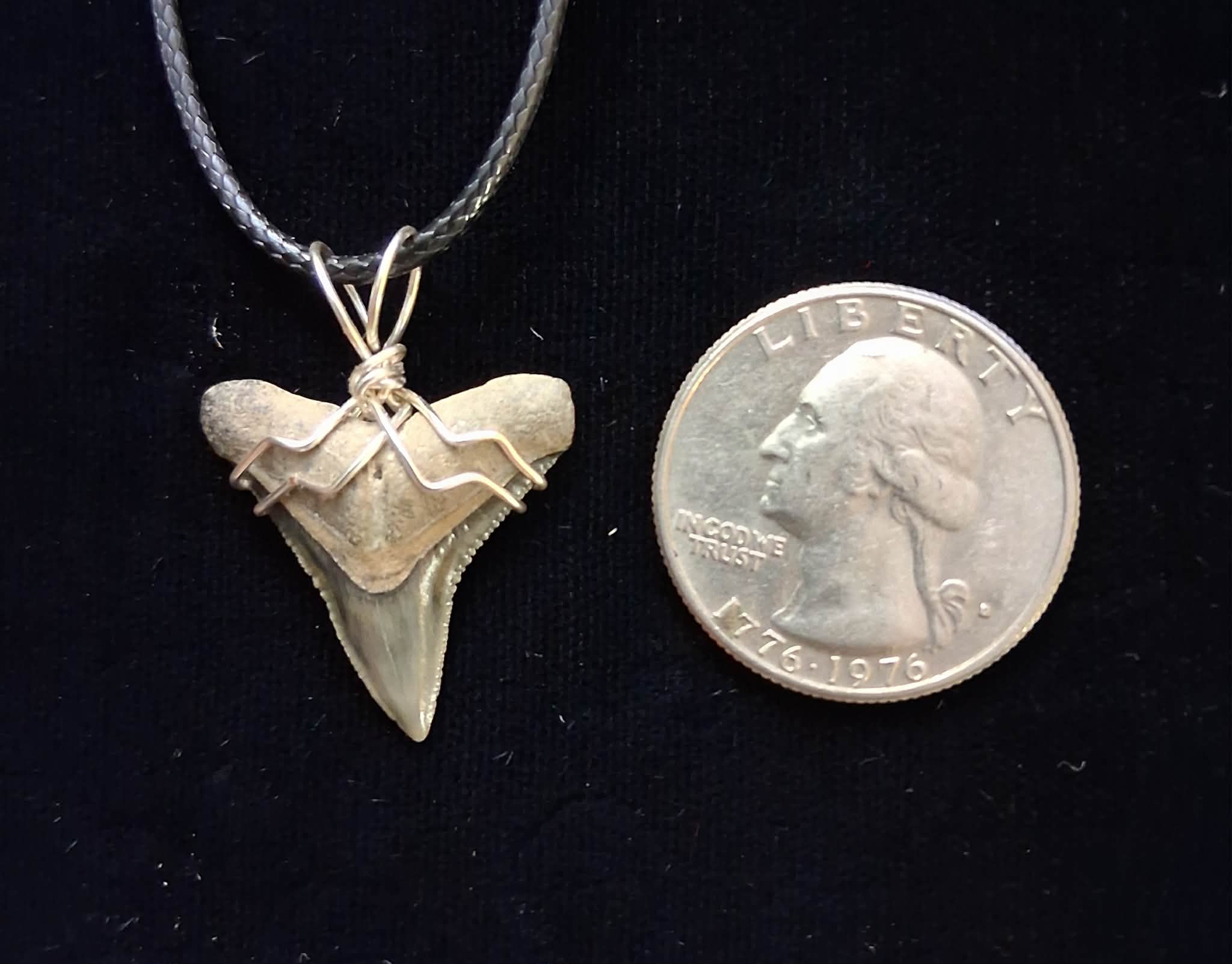 Lemon Shark Wire Wrapped Pendant