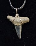 Lemon Shark Wire Wrapped Pendant